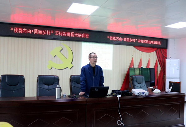 图片1_副本.png