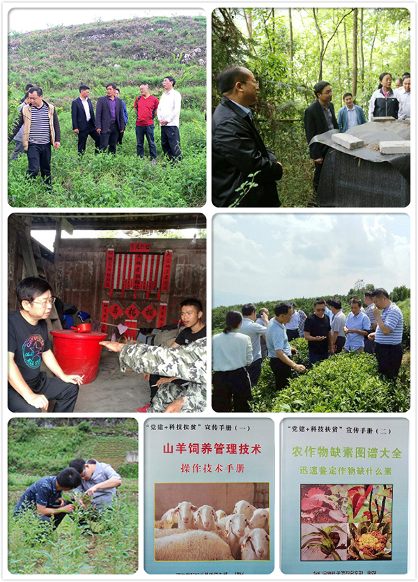 7.2教育服务农村产业革命.jpg