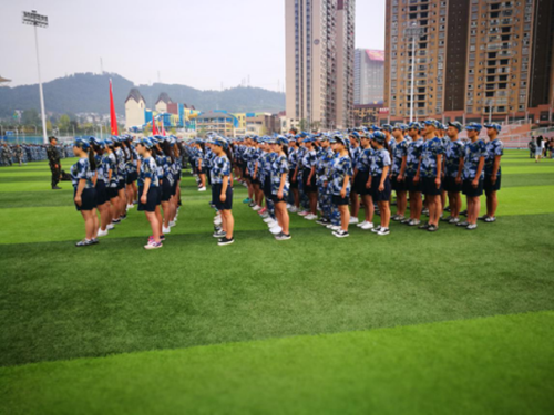 图片2_副本.png