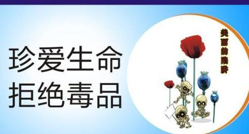 图片3_副本.jpg