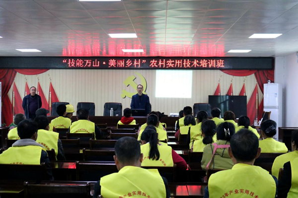 图片2_副本.png