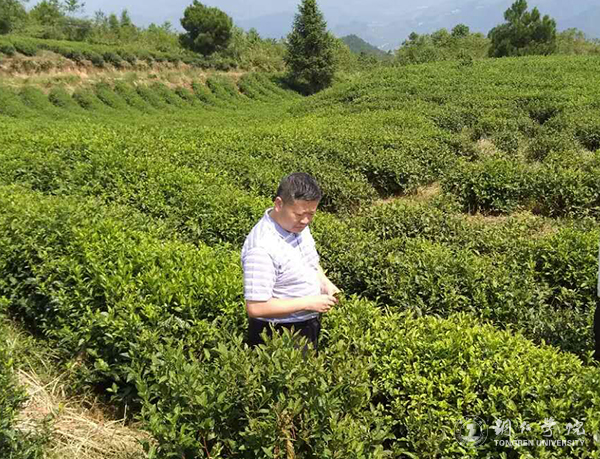 4考察现场.jpg